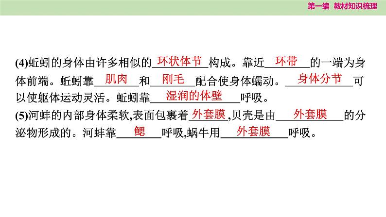 2025年中考知识整理八年级生物上册 第十八课时　动物的主要类群课件PPT第3页