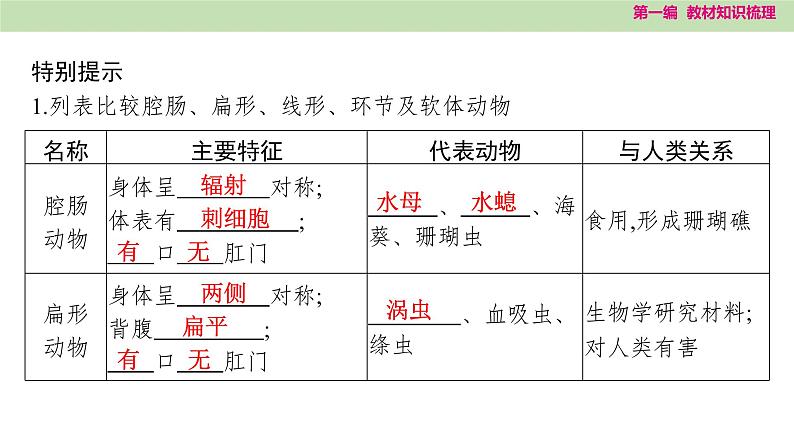 2025年中考知识整理八年级生物上册 第十八课时　动物的主要类群课件PPT第4页