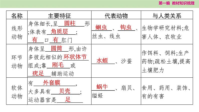 2025年中考知识整理八年级生物上册 第十八课时　动物的主要类群课件PPT第5页