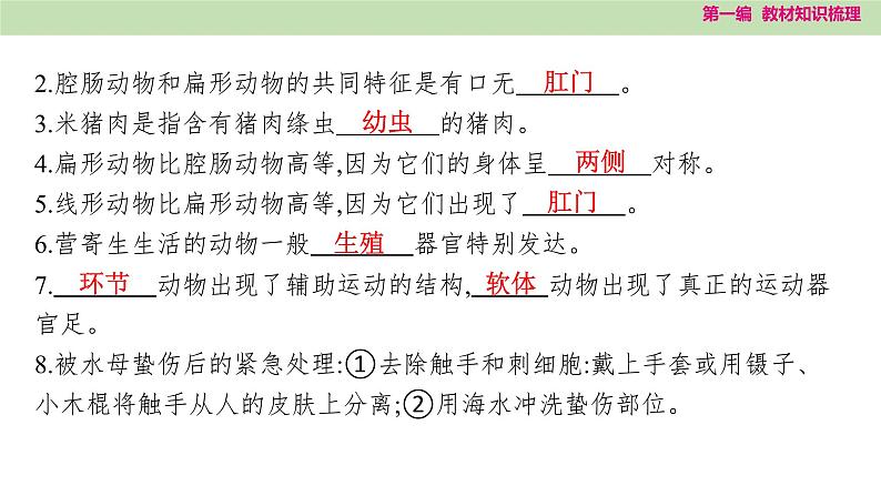 2025年中考知识整理八年级生物上册 第十八课时　动物的主要类群课件PPT第6页