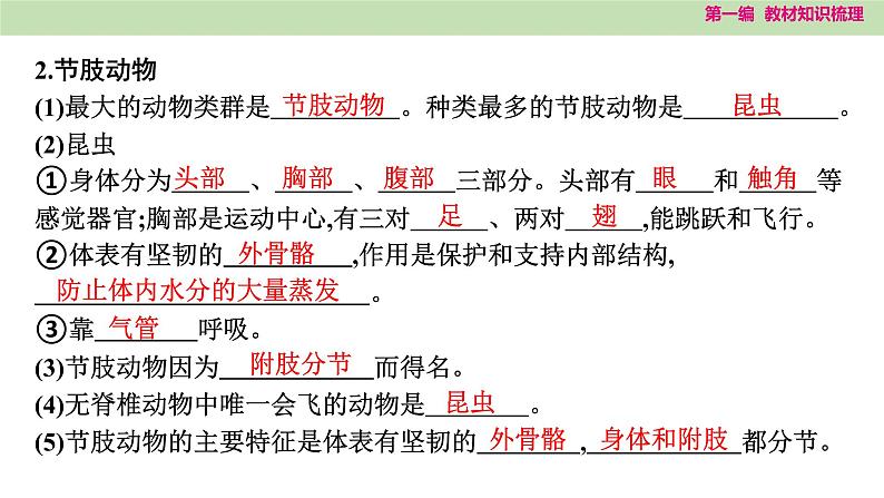 2025年中考知识整理八年级生物上册 第十八课时　动物的主要类群课件PPT第7页