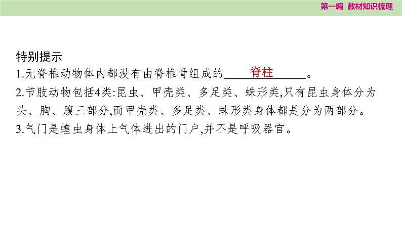 2025年中考知识整理八年级生物上册 第十八课时　动物的主要类群课件PPT第8页