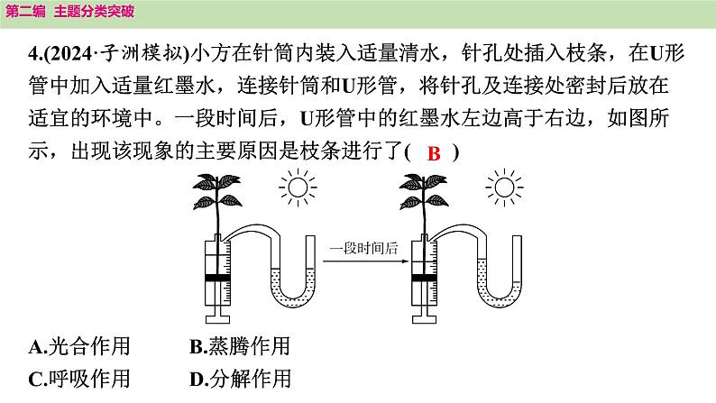 2025年中考生物知识整理 主题七　生物学与社会•跨学科实践课件PPT第7页