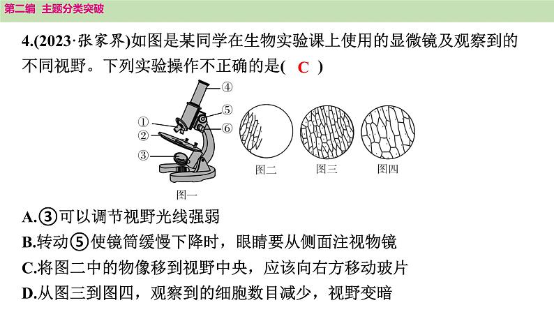 2025年中考生物知识整理 主题一　生物体的结构层次课件PPT第7页