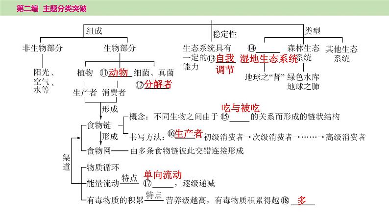 2025年中考生物知识整理 主题三　生物与环境课件PPT第3页