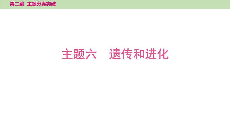 2025年中考生物知识整理 主题六　遗传和进化课件PPT第1页