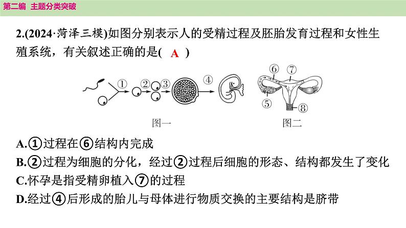 2025年中考生物知识整理 主题六　遗传和进化课件PPT第6页