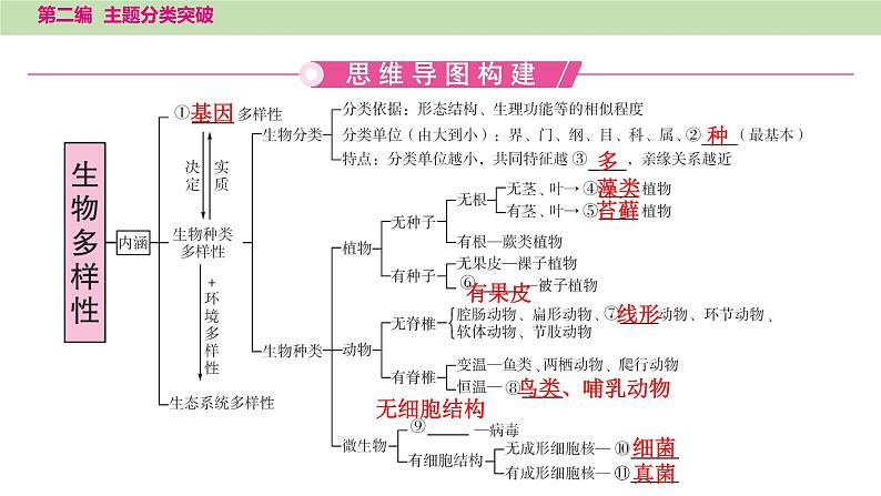 2025年中考生物知识整理 主题二　生物的多样性课件PPT第2页