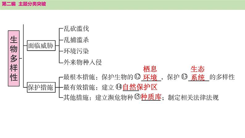 2025年中考生物知识整理 主题二　生物的多样性课件PPT第3页