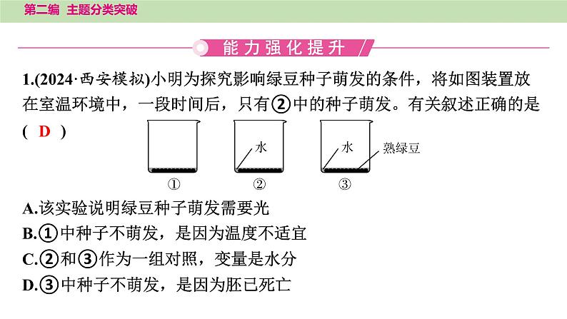 2025年中考生物知识整理 主题四　植物的生活课件PPT第4页