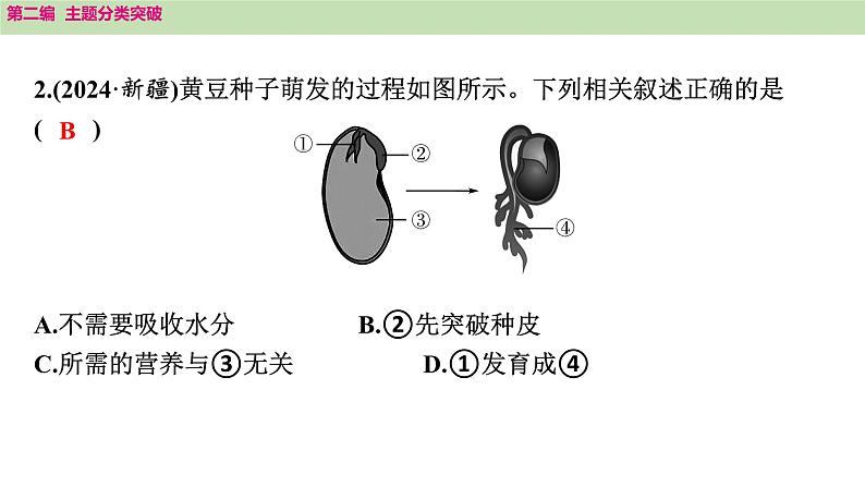 2025年中考生物知识整理 主题四　植物的生活课件PPT第5页