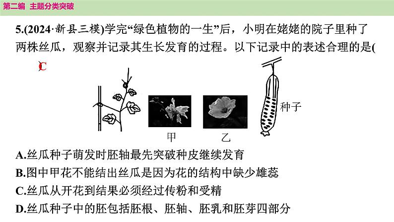 2025年中考生物知识整理 主题四　植物的生活课件PPT第8页