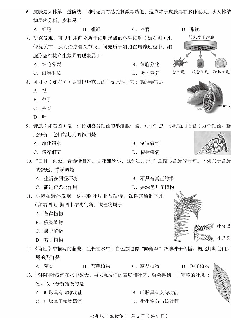 2025北京海淀初一上学期期末生物试卷和参考答案第2页