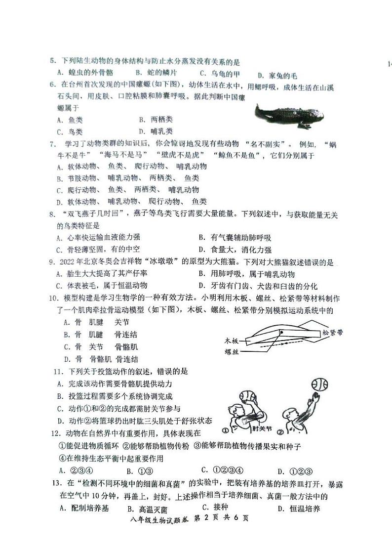 安徽省安庆市怀宁县2024—2025学年八年级上学期期末考试生物试卷第2页