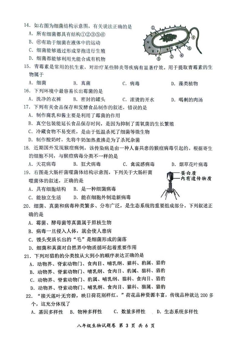 安徽省安庆市怀宁县2024—2025学年八年级上学期期末考试生物试卷第3页