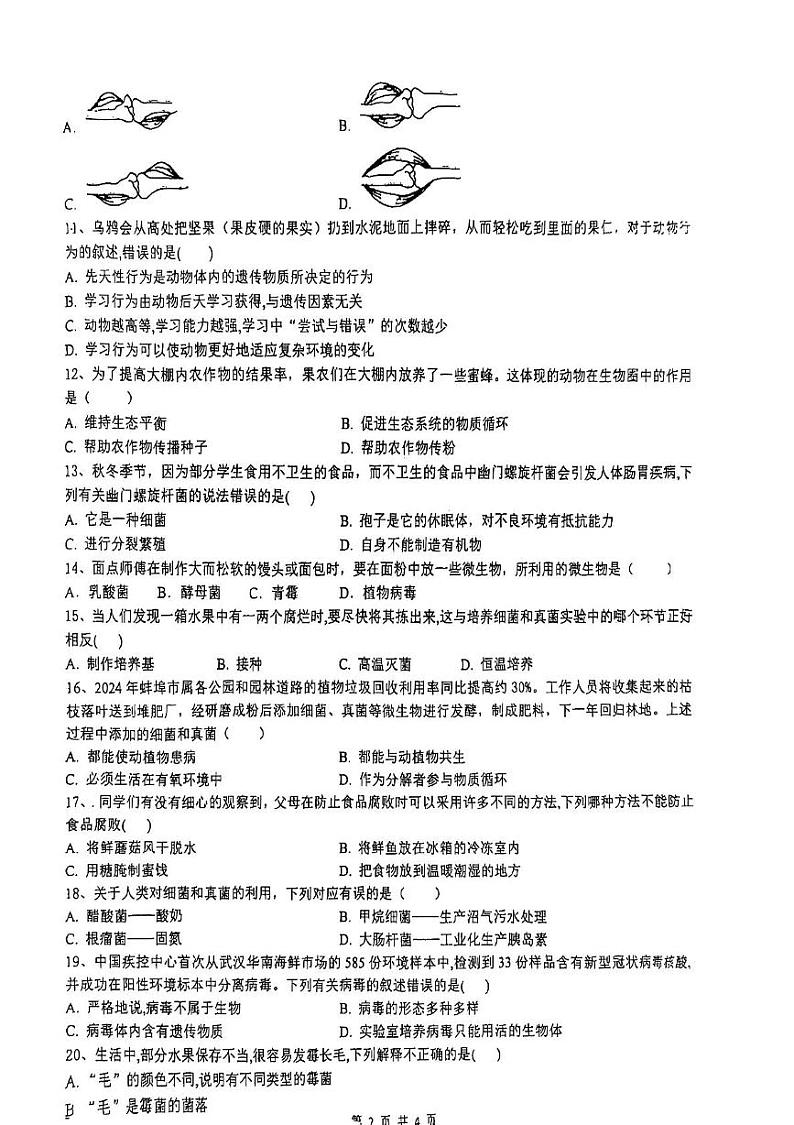 安徽省蚌埠市2024-2025学年八年级上学期期末测试生物试题第2页