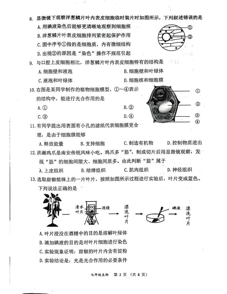 福建省南安市2024-2025学年七年级上学期期末教学质量监测生物试题第2页