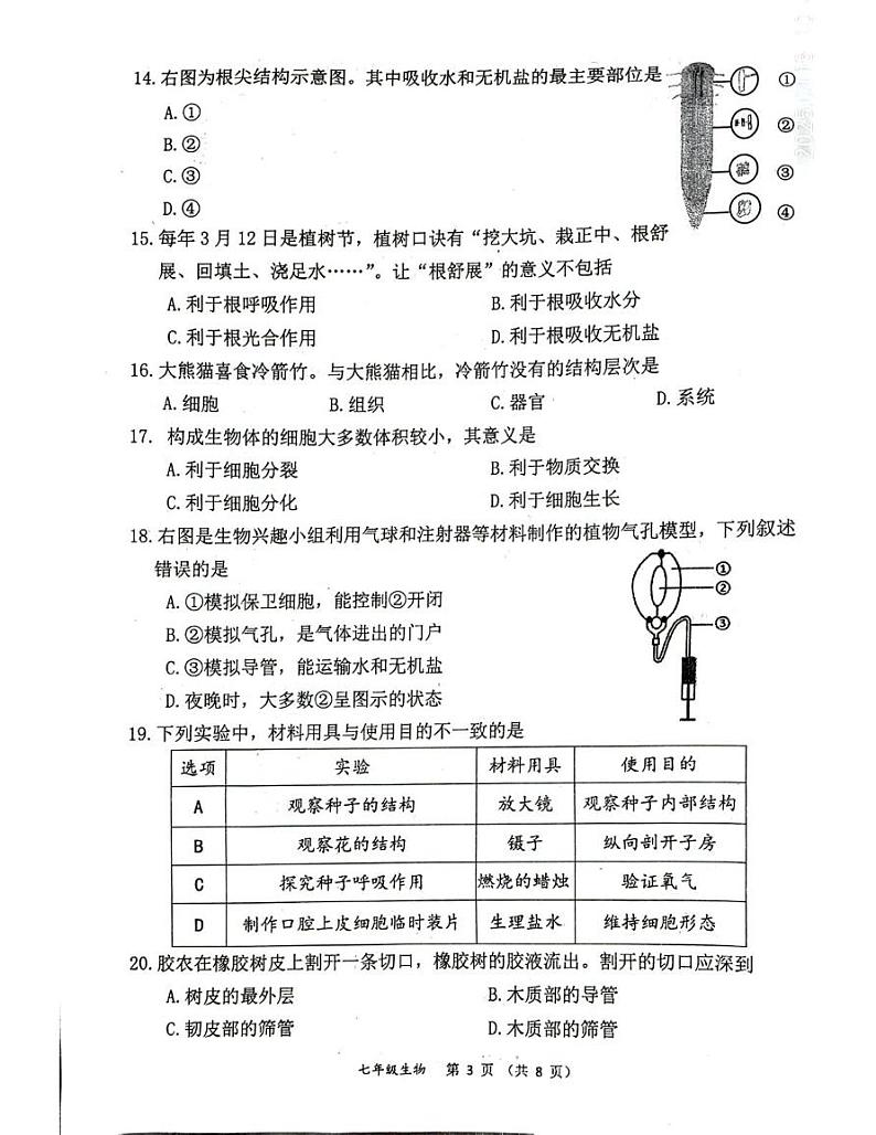福建省南安市2024-2025学年七年级上学期期末教学质量监测生物试题第3页