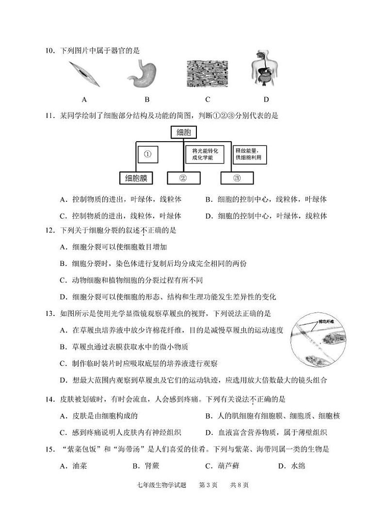 广东省广州市2024-2025学年七年级上学期期末检测生物学试卷第3页