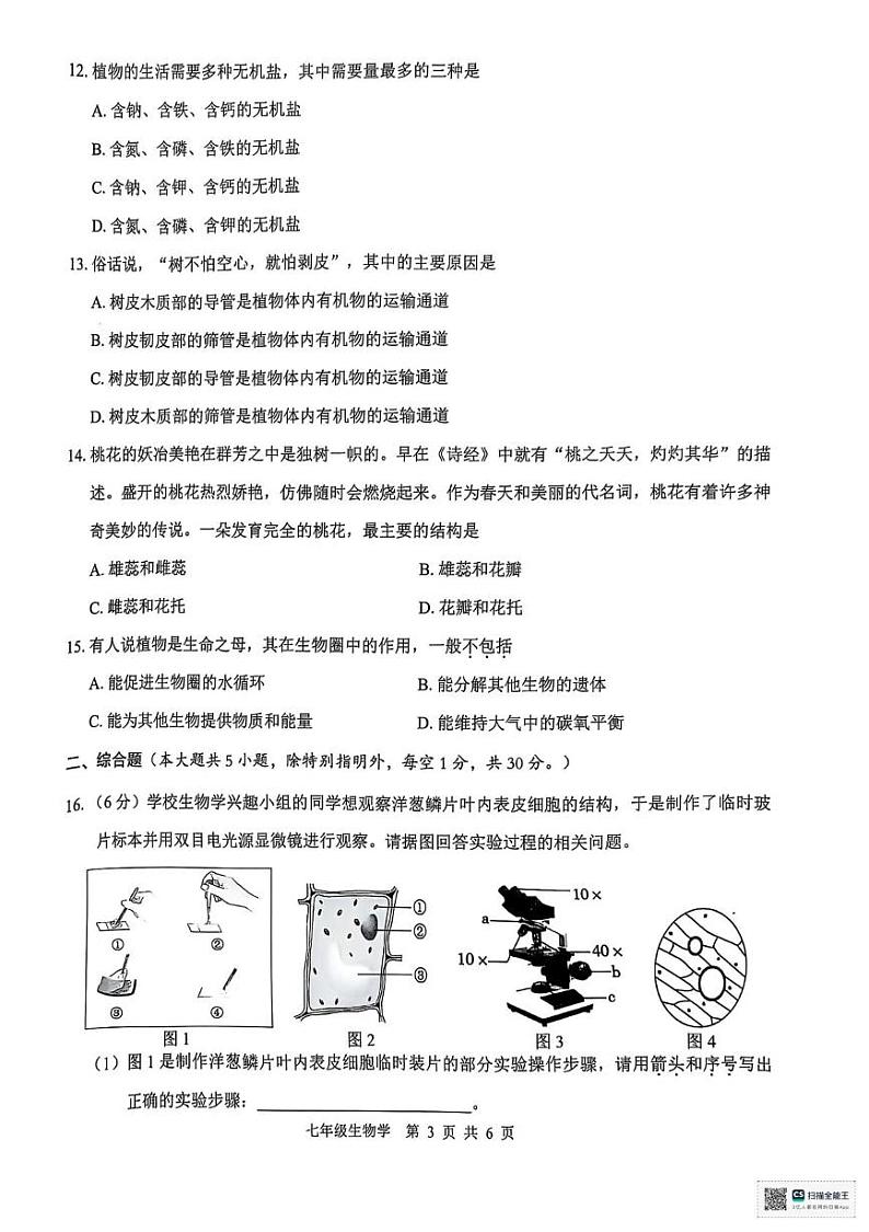 广西贵港市2024-2025学年七年级上学期期末检测生物试题第3页