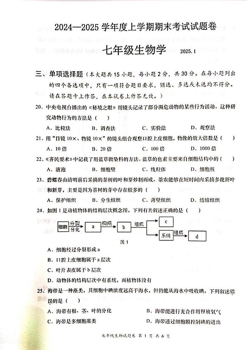 广西梧州市藤县2024-2025学年七年级上学期1月期末生物试题第1页