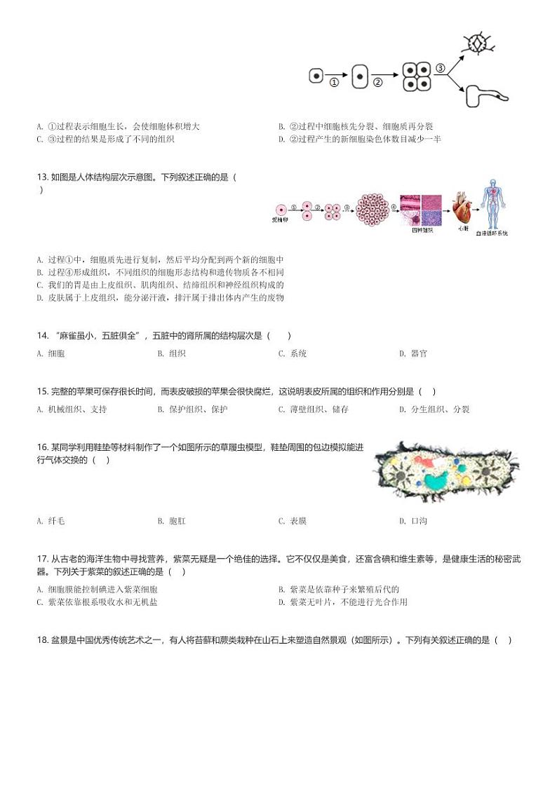 2024～2025学年河南郑州初一(上)期中生物学试卷(含解析)第3页
