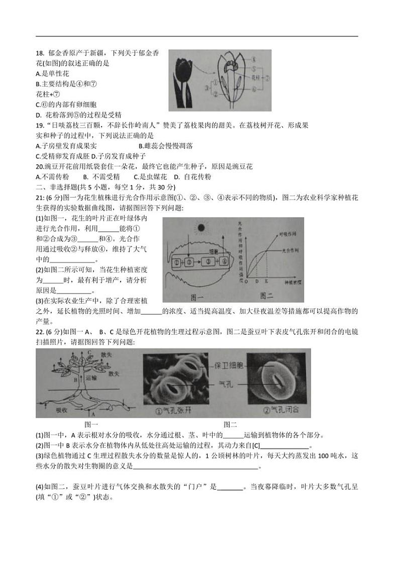 2024～2025学年河南省商丘市柘城县七年级上期末生物试卷(含答案)第3页