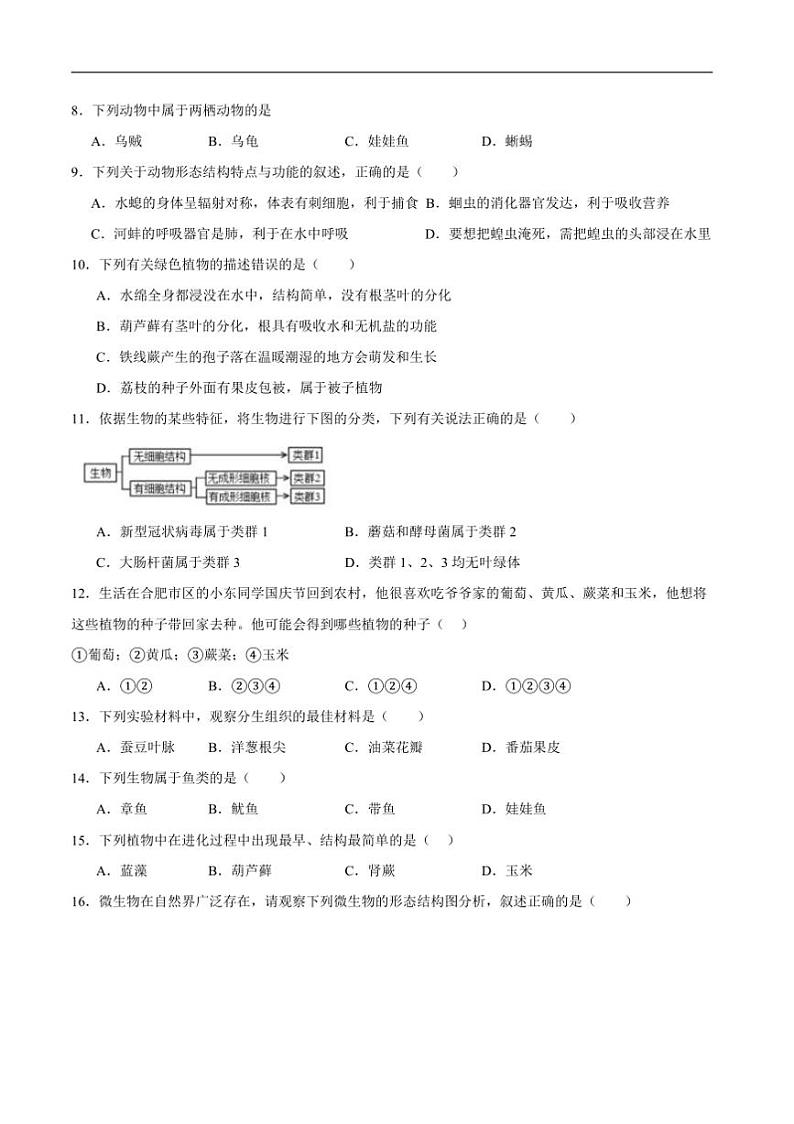 2024～2025学年四川省攀枝花市东区七年级上1月期末生物试卷(含答案)第2页