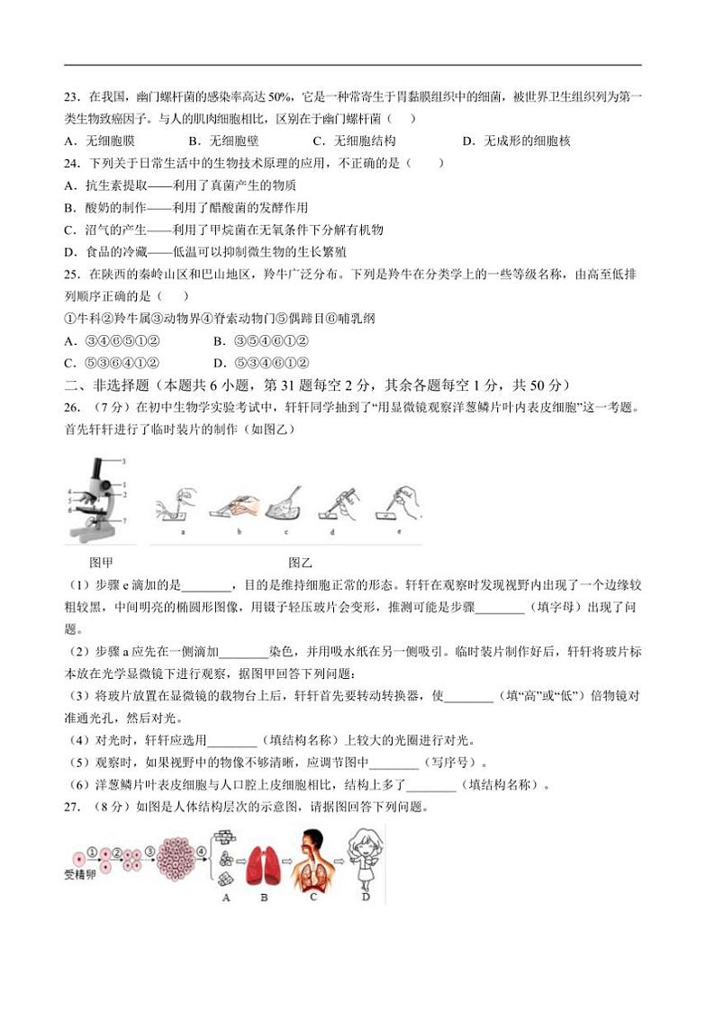 2024～2025学年湖南省衡阳市衡山县七年级上1月期末生物试卷(含答案)第3页