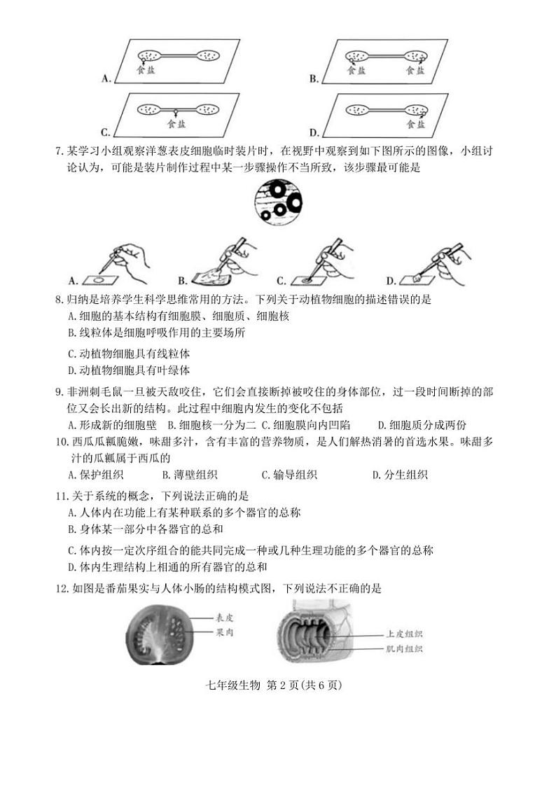 2024～2025学年四川省广安市武胜县七年级上1月期末生物试卷(含答案)第2页