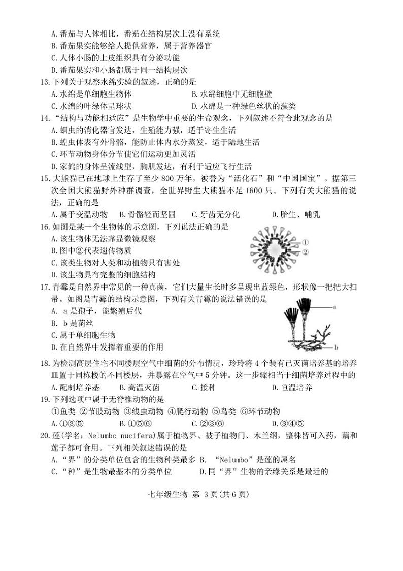 2024～2025学年四川省广安市武胜县七年级上1月期末生物试卷(含答案)第3页