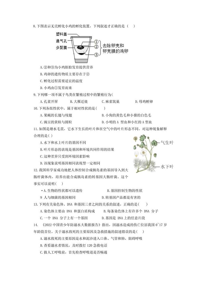 2024～2025学年广东省汕头市潮阳实验学校八年级上期末生物试卷(含答案)第2页
