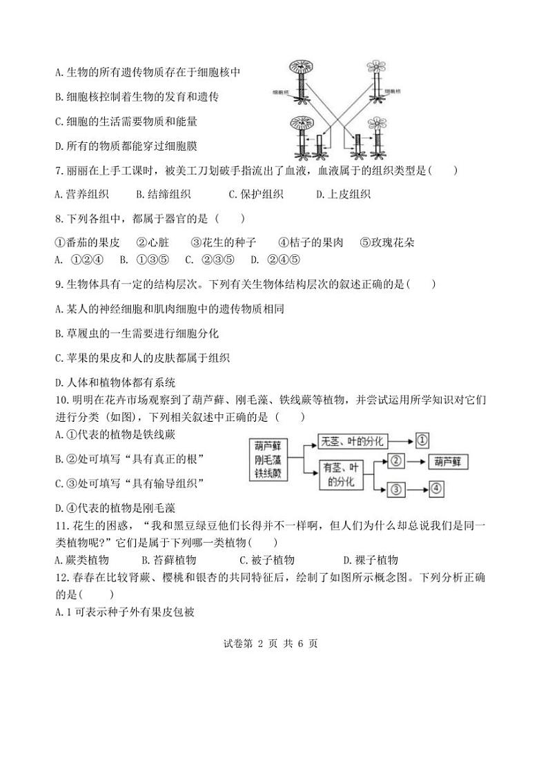 2024～2025学年江西省上饶市七年级上期末生物试卷(含答案)第2页