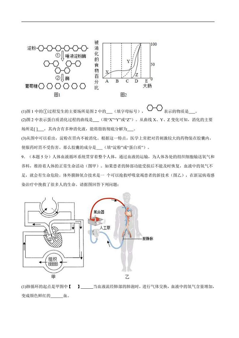 2024～2025学年四川省泸州市江阳区泸州老窖天府中学九年级上1月期末生物试卷(含答案)第3页