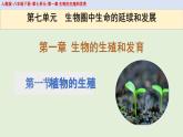 人教版初中生物八下 第一章生物的生殖和发育  1.1《植物的生殖》课件