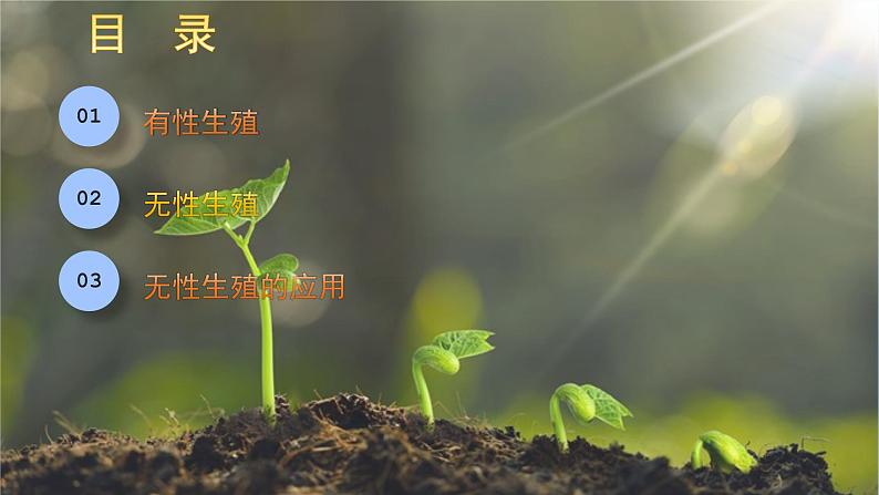 人教版初中生物八下 第一章生物的生殖和发育  1.1《植物的生殖》课件第3页