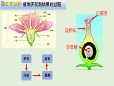 人教版初中生物八下 第一章生物的生殖和发育  1.1《植物的生殖》课件