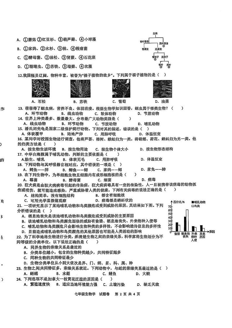 安徽省合肥市包河区2024-2025学年七年级上学期1月期末生物试题第2页