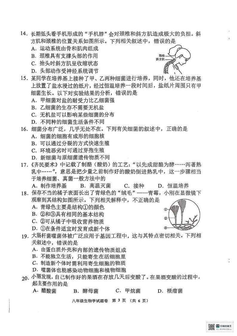 河南省郑州市管城回族区2024-2025学年八年级上学期1月期末生物试题第3页