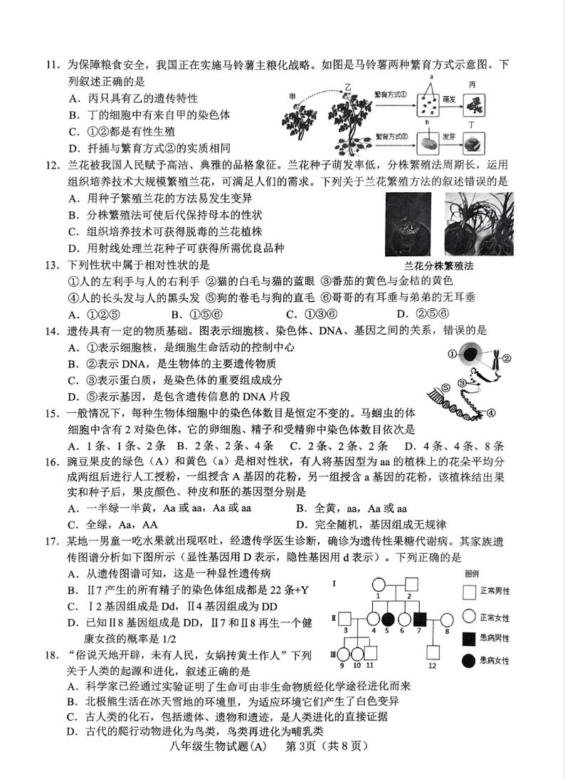 山东省临沂市临沭县2024-2025学年八年级上学期期末阶段检测生物试题第3页