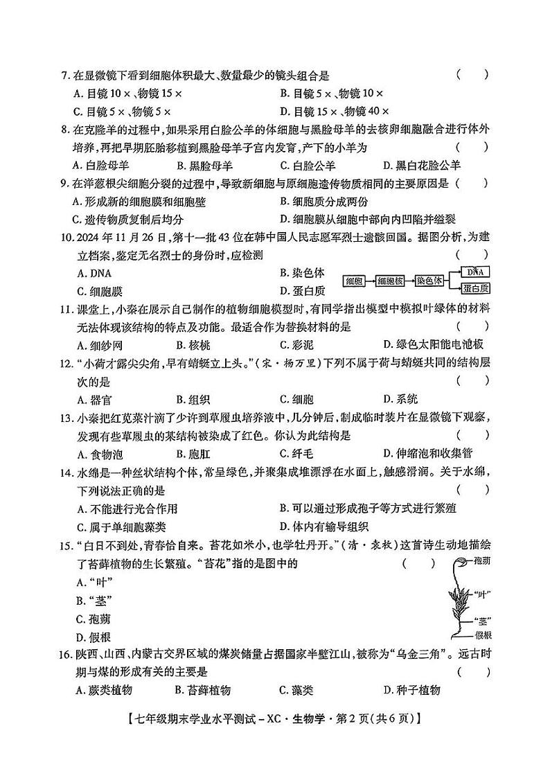 陕西省西安市雁塔区雁塔第一中学2024-2025学年七年级上学期期末考试生物试卷第2页