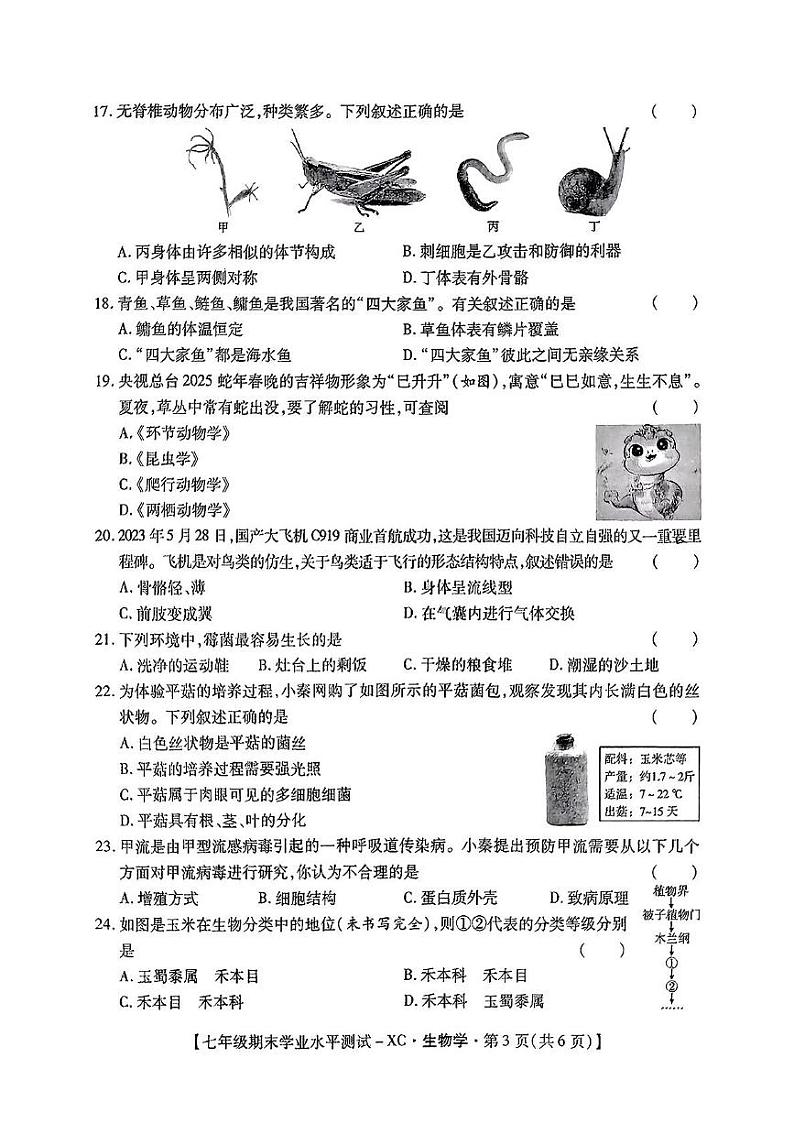 陕西省西安市雁塔区雁塔第一中学2024-2025学年七年级上学期期末考试生物试卷第3页