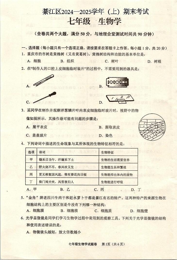 重庆市綦江区2024—2025学年七年级上学期期末考试生物试题第1页