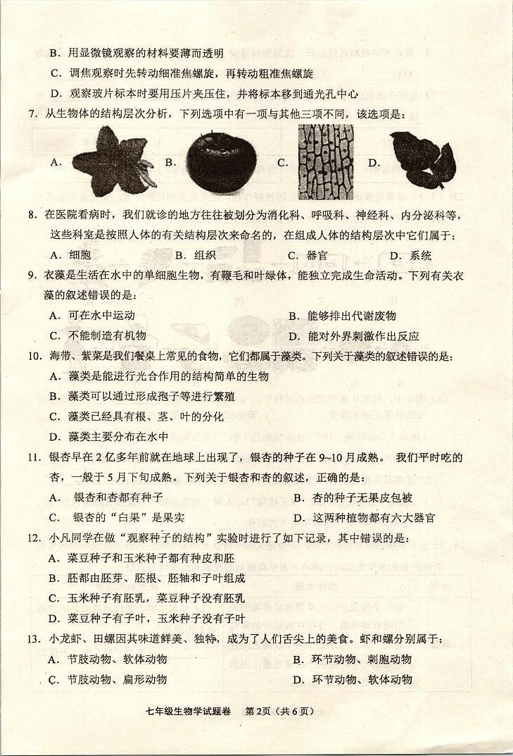 重庆市綦江区2024—2025学年七年级上学期期末考试生物试题第2页