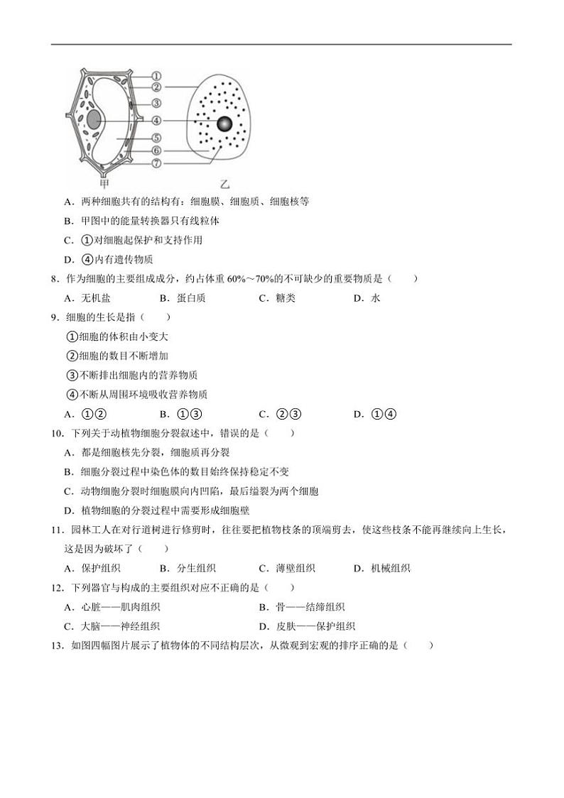 2024～2025学年四川省绵阳市梓潼县七年级上1月期末考试生物试卷(含答案)第2页