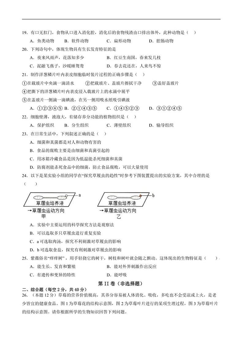 2024～2025学年四川省攀枝花市仁和区七年级上1月期末考试生物试卷(含答案)第3页