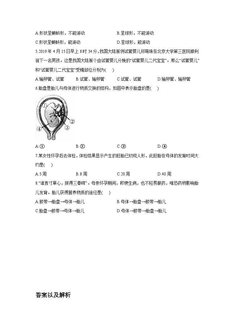 人教版初中生物4.1.1《人的生殖》学案第2页