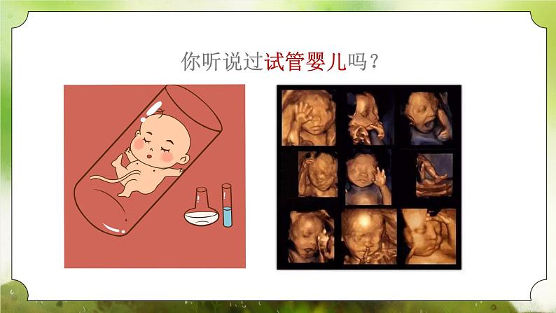 【核心素养】人教版初中生物七年级下册4.1.2《人的生殖》课件第6页