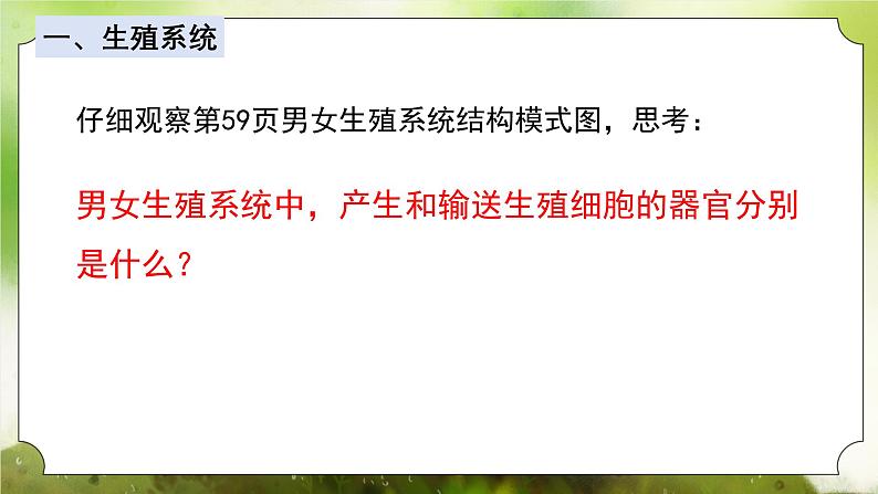 【核心素养】人教版初中生物七年级下册4.1.2《人的生殖》课件第8页