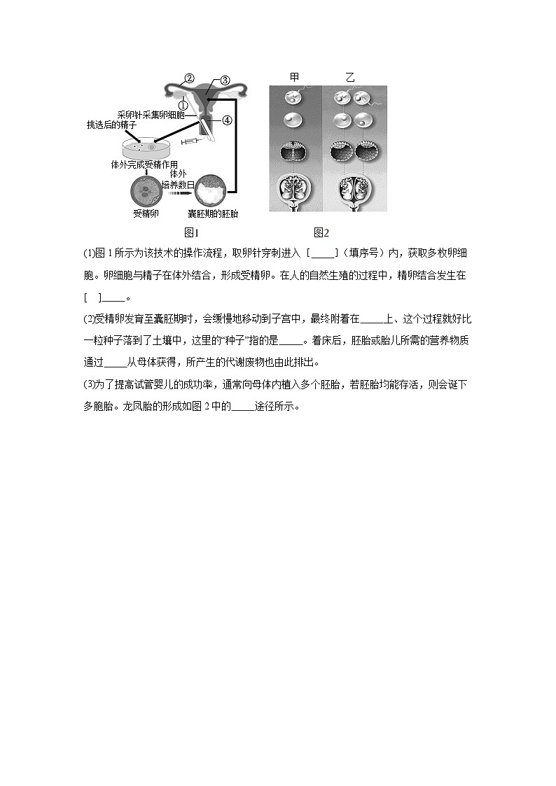 4.1.1《人的生殖》课时练习第3页
